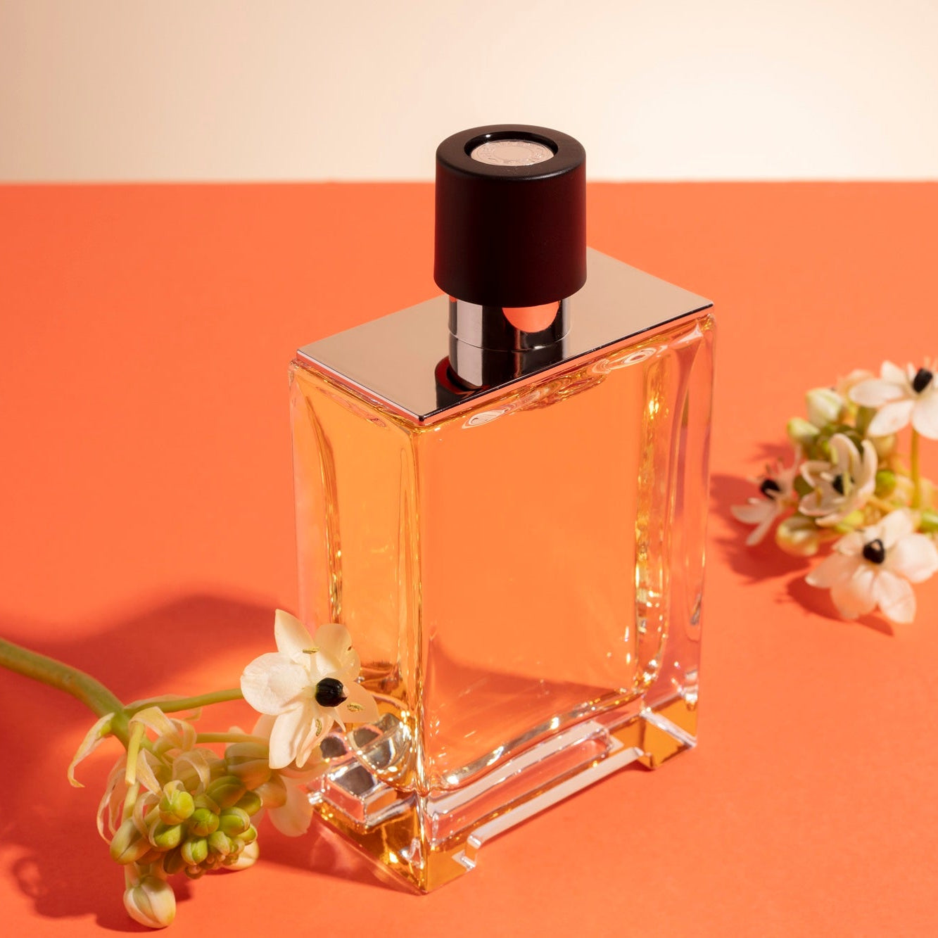 Audaće | Elixir | The Heiress Collection | 50 ML